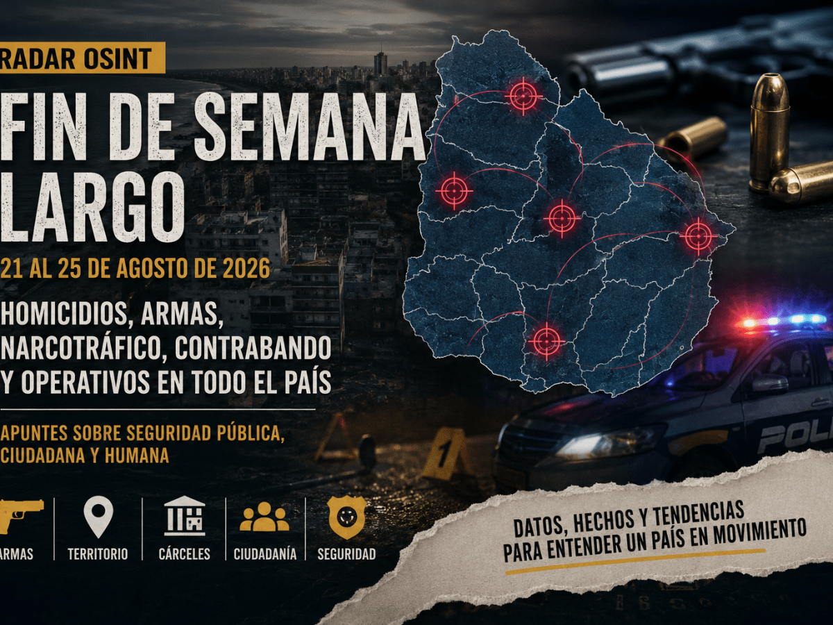 Seguridad pública, ciudadana y humana